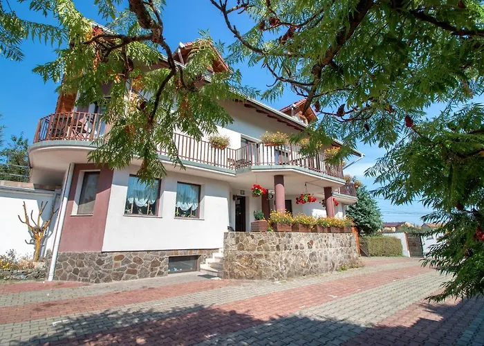 Casa Din Noua